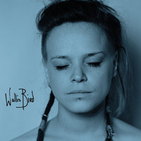 Polarised - Wallis Bird