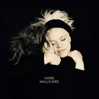 Home - Wallis Bird