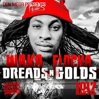 Can't Do Golds - Waka Flocka, Don Mega