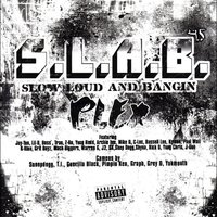 We Been Fly (S.L.A.B.ed) - Trae Tha Truth, Boss, C-Loc