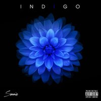 Indigo - Sammie