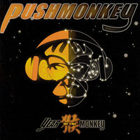 Sorry - Pushmonkey