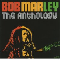 Dupy Conqueror - Bob Marley