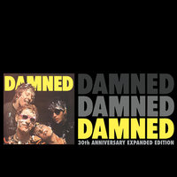 Fan Club - The Damned