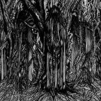 Báthory Erzsébet - Sunn O)))