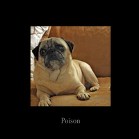 Poison -