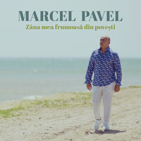 Marcel Pavel