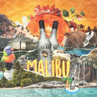 Malibu - Champ