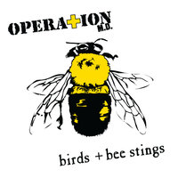Birds + Bee Stings - Operation M.D.