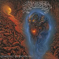 Ecstacy for Decayed Chunks - Avulsed