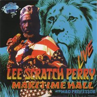 Roast Fish and Cornbread - Mad Professor, Lee "Scratch" Perry, Robotiks