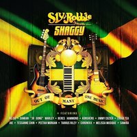 Like Never Before - Shaggy, Joe, Cocoa Tea