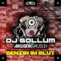 Benzin im Blut - DJ Gollum, Akustikrausch