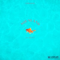 Aqualand - Rare Kidd, Rhyno