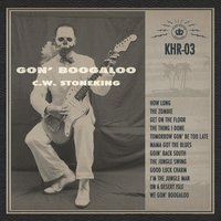 Goin' Back South - C.W. Stoneking