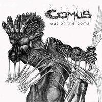 Out Of The Coma - Comus