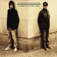 Villiers Terrace - Echo & the Bunnymen