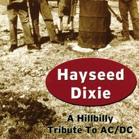 Back in Black - Hayseed Dixie
