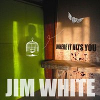 That Wintered Blue Sky - Jim White
