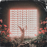 Paradis - Organize, Etki