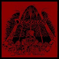 Ritual Ruins - Desecresy