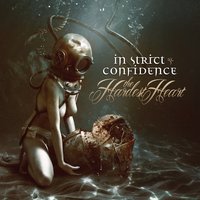 Letzter Wille - In Strict Confidence
