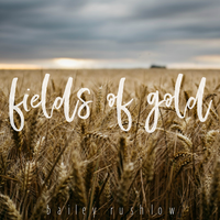 Fields of Gold - Bailey Rushlow