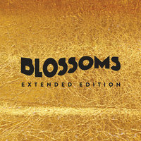 Across The Moor - Blossoms