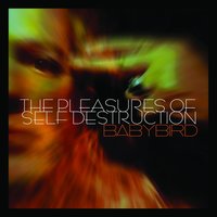 The Jesus Stag Night Club - Babybird