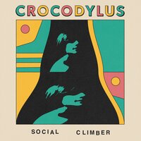 Social Climber - Crocodylus