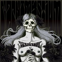 Your True Enemy - Nachtmystium