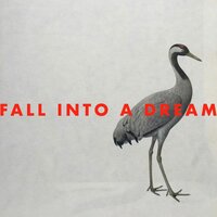 Fall into a Dream - Georg Levin
