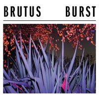 All Along - Brutus