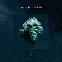 Got Control (Cocaine) - Skinny Living