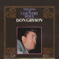 Ashes of Love - Don Gibson