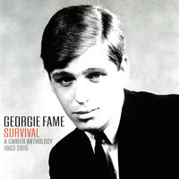 Funny (How Time Slips Away) - Georgie Fame