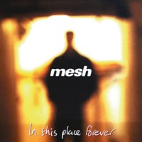 You Didn't Want Me - Mesh