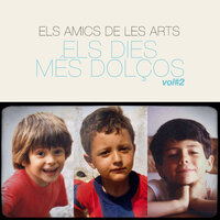 Reykjavík - Els Amics de les Arts, Suu