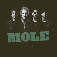Torpe Original - Mole
