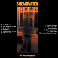 Grey Lining - Shearwater