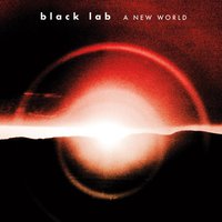 Bring You Love - Black Lab