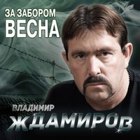 Академия - Владимир Ждамиров