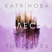 Знаки - Катя Нова, Tunicates