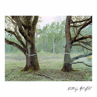 Wishful Thinking - Nothing At All