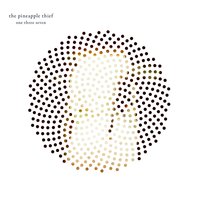 Md One - The Pineapple Thief