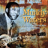 Got My Mojo Working Part 2 - Muddy Waters