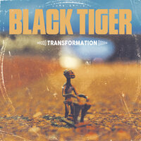Mini Lady - Black Tiger