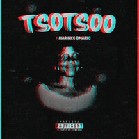 Koti - Berd