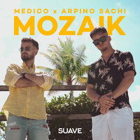 Mozaik - Arpino Sachi, Medico