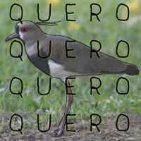 O Médico Ou o Monstro - Mais Uma